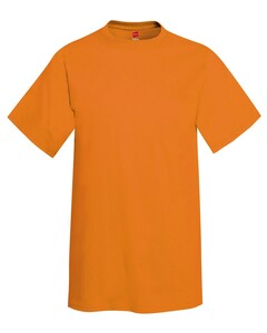Authentic T-Shirt Orange Hanes 5250 Orange