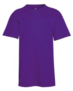 Hanes 5370 Purple