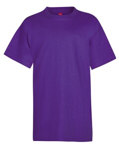 Hanes 5450 Purple