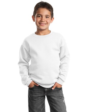 Youth Crewneck Sweatshirt