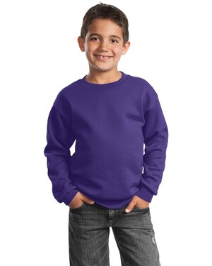 Youth Crewneck Sweatshirt