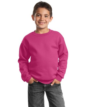 Youth Crewneck Sweatshirt