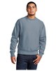 Champion GDS149 Reverse Weave Garment-Dyed Crewneck Sweatshirt