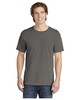 Comfort Colors 1717 Heavyweight Ring Spun T-Shirt