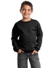Port & Co PC90Y Youth Crewneck Sweatshirt
