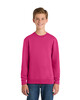 Port & Co PC90Y Youth Crewneck Sweatshirt