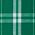 Kelly Green/White