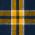 Team Navy/Gold