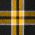 Black/ Gold