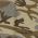 Desert Camo