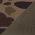 Bark Duck Camo/ Brown