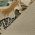 Realtree Advantage/ Khaki