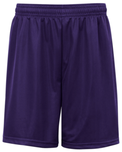 Badger 223700 Purple-Mini Mesh Youth 6 Inch Shorts Purple