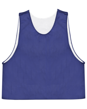 C2 Reversible Mesh Pinnie