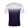 Purple Ombre