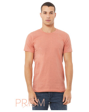 Unisex CVC Jersey Tee