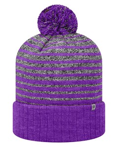 Adult Ritz Knit Cap Purple Top of the World TW5001 Purple