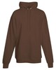 Hanes F170 Ultimate Cotton Pullover Hoodie