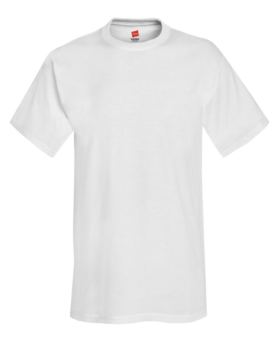 Hanes 5170 50/50 EcoSmart T-Shirt - BlankShirts.com