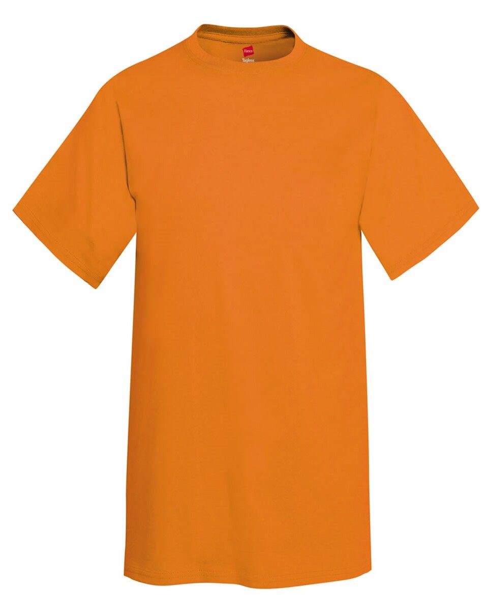 Hanes 5250T Authentic T-Shirt - T-ShirtWholesaler.com