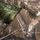 REALTREE EDGE_32