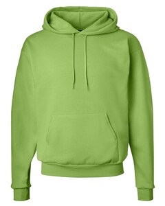 Hanes P170 Green-EcoSmart Pullover Hoodie Green