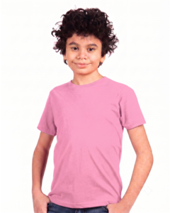 Next Level Apparel 3312 Pink-Youth CVC Crew Pink