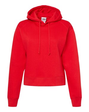 Hooded Sweatshirt with Colorblock Shoulder Panels
