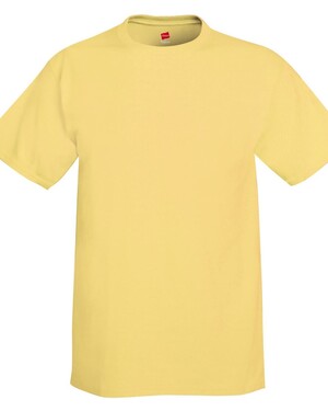 Hanes 5250 - Authentic T-Shirt