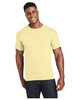 Hanes 42TB X-Temp™ Triblend T-Shirt with Fresh IQ