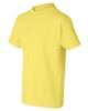 Hanes 5450 Youth T-Shirt