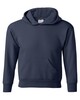 Hanes P473 Ecosmart  Youth Hoodie