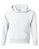 Hanes P473 Ecosmart  Youth Hoodie