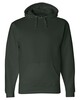 J. America 8824 Premium Hoodie
