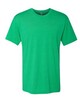 Next Level Apparel 6010 Tri-Blend T-Shirt