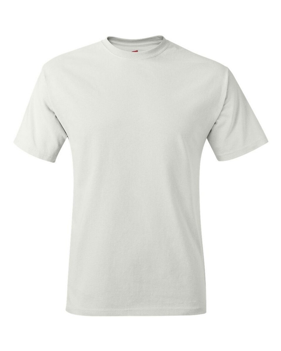 Hanes 5250 Authentic T-Shirt - T-ShirtWholesaler.com
