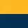 Gold/ Navy