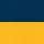 Navy/ Gold