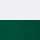 White/ Dark Green