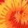 Blaze