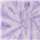 Spider Lavender