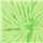 Spider Lime
