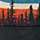 Lodgepole/ Black