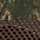 Realtree APX/ Brown