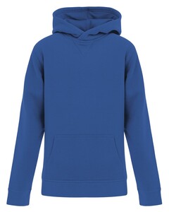 The Authentic T-Shirt Company Y2016 Blue-ATC Active Youth Hooded Sweatshirt Blue