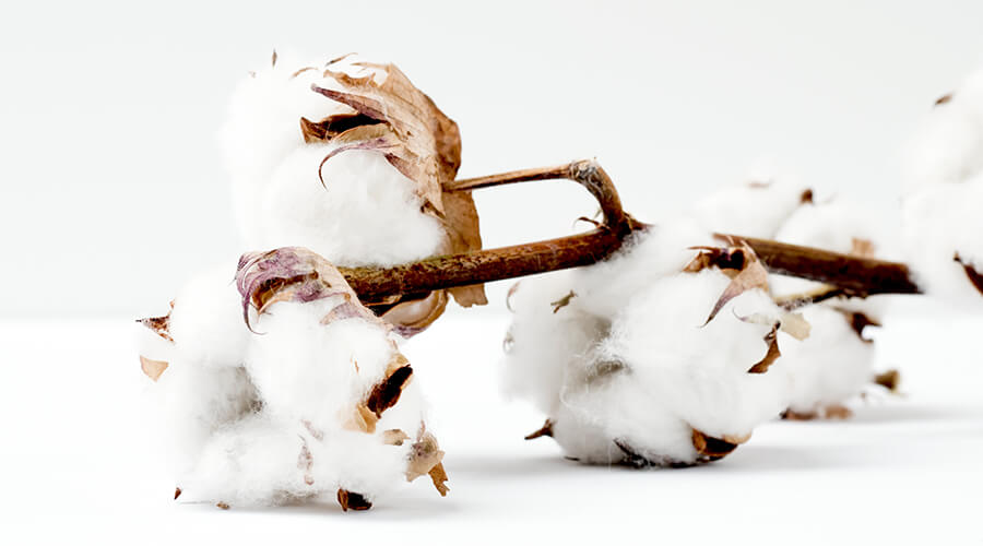 How to stop your 100% cotton from shrinking