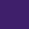 Hanes Athletic Purple